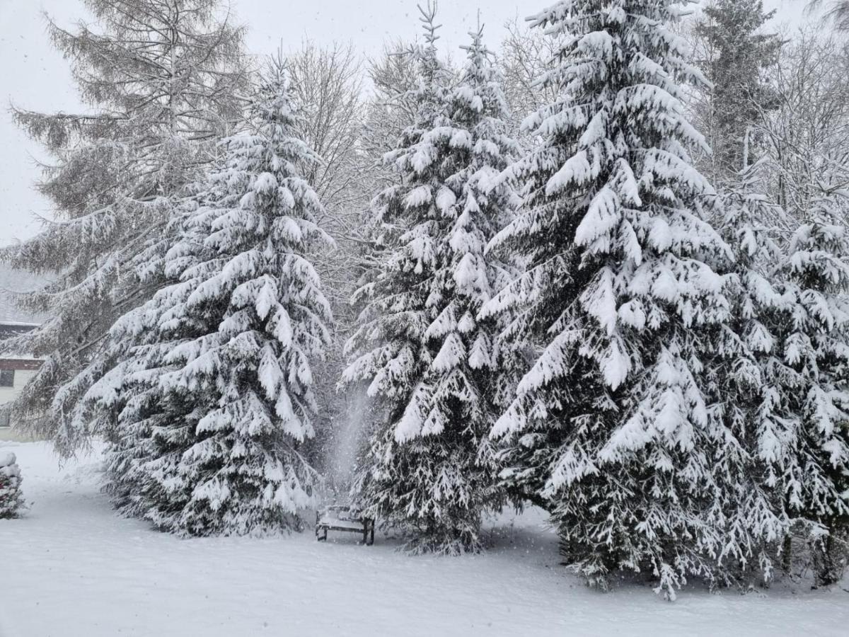 An Moeppis Huette Winterberg